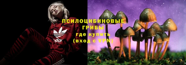 скорость Краснотурьинск