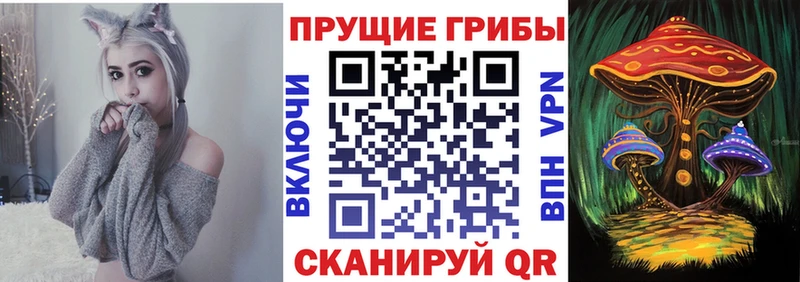 Купить где  Малмыж  Псилоцибиновые грибы ЛСД 